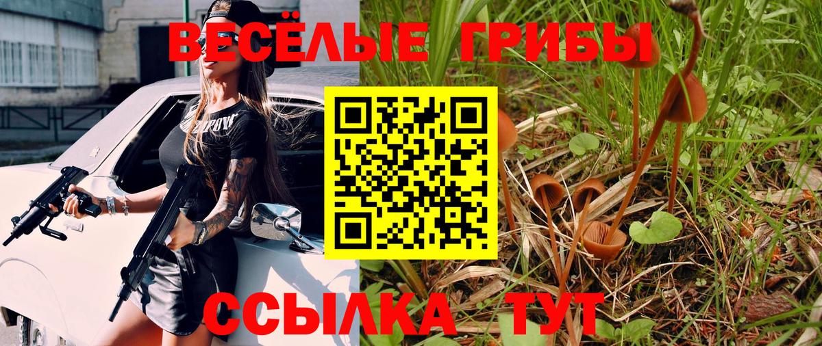 Меф  Вход с VPN  МДМА  APVP СК   LSD-25  Меф кристаллы  Вязники  ГАШ  Канабис 